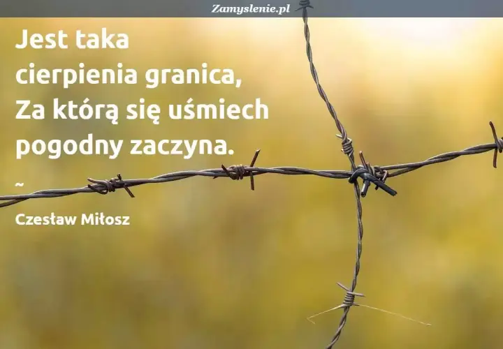 Cytaty o szacunku do drugiego człowieka: "Jest taka cierpienia granica, za którą się uśmiech pogodny zaczyna." - Czesław Miłosz.