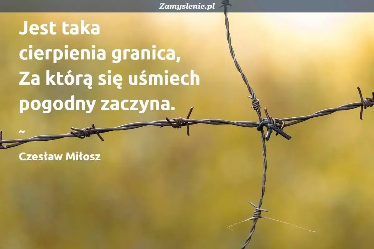 Cytaty o szacunku do drugiego człowieka: "Jest taka cierpienia granica, za którą się uśmiech pogodny zaczyna." - Czesław Miłosz.